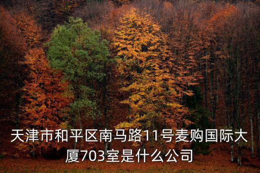 天津市和平區(qū)南馬路11號(hào)麥購(gòu)國(guó)際大廈703室是什么公司