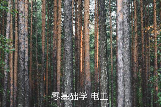 零基礎學 電工