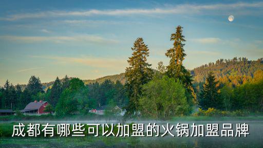 成都有哪些可以加盟的火鍋加盟品牌