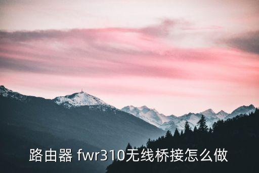 fwr310,無線路由器怎么用?
