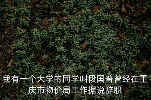 我有一個(gè)大學(xué)的同學(xué)叫段國(guó)普曾經(jīng)在重慶市物價(jià)局工作據(jù)說(shuō)辭職