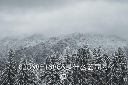02868516886是什么公司號碼