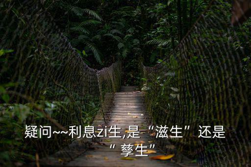 孳生,非營利組織非應稅所得利息是免稅的