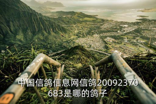 中國信鴿信息網(wǎng)信鴿20092370683是哪的鴿子