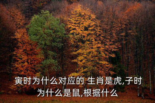  寅時(shí)為什么對(duì)應(yīng)的 生肖是虎,子時(shí)為什么是鼠,根據(jù)什么