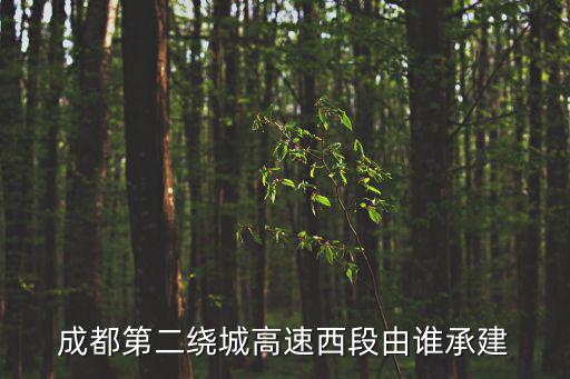 成都第二繞城高速西段由誰承建