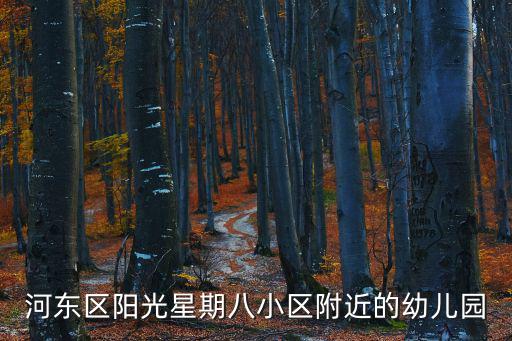 河東區陽光星期八小區附近的幼兒園