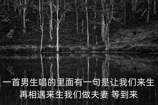 等到來生再相遇，一首男生唱的里面有一句是讓我們來生再相遇來生我們做夫妻 等到來