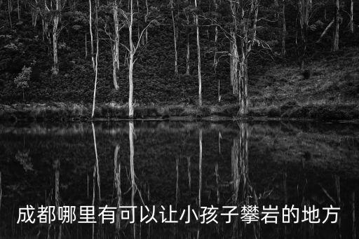 成都哪里有可以讓小孩子攀巖的地方