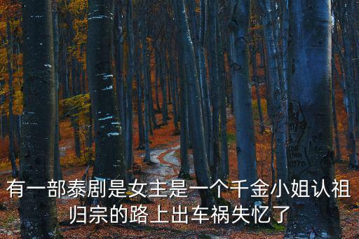 有一部泰劇是女主是一個千金小姐認祖歸宗的路上出車禍失憶了