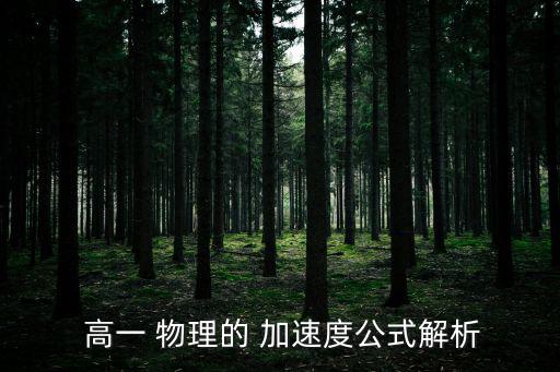  高一 物理的 加速度公式解析