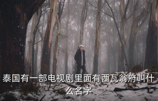 愛與惡的計謀，有一部泰劇是女主是一個千金小姐認祖歸宗的路上出車禍失憶了