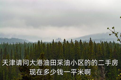 天津請(qǐng)問(wèn)大港油田采油小區(qū)的的二手房現(xiàn)在多少錢一平米啊