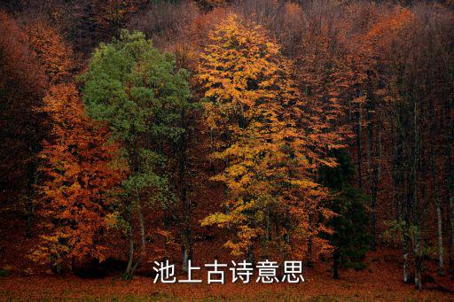 池上唐白居易,小娃娃持舟偷白蓮回,白居易二絕
