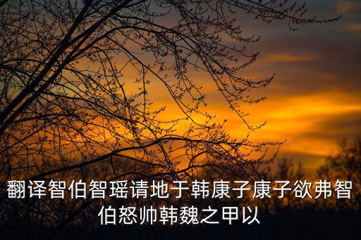 翻譯智伯智瑤請(qǐng)地于韓康子康子欲弗智伯怒帥韓魏之甲以