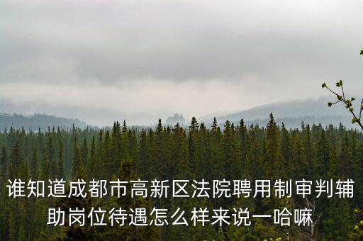 成都市高新技術產業開發區人民法院招聘，成都市高新區法院副院長有哪些人