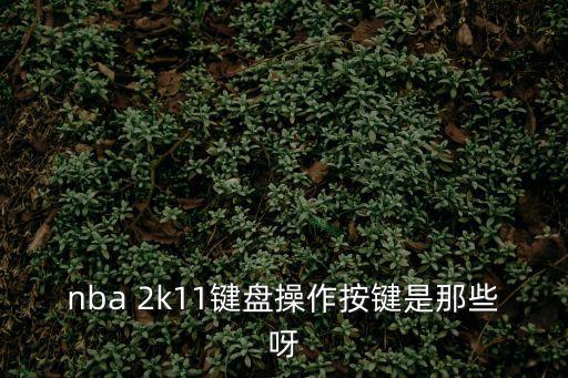 2k11,投籃選擇多樣化投籃規則