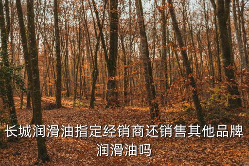 長城潤滑油指定經銷商還銷售其他品牌潤滑油嗎