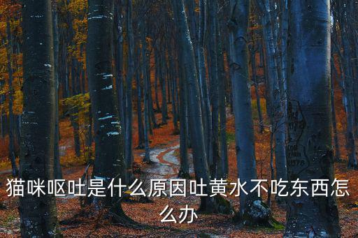 貓咪嘔吐是什么原因吐黃水不吃東西怎么辦