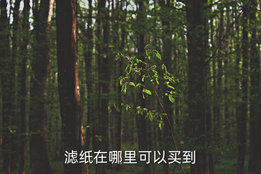 成都市哪里可以買到濾紙，過濾紙一般在什么商店有賣