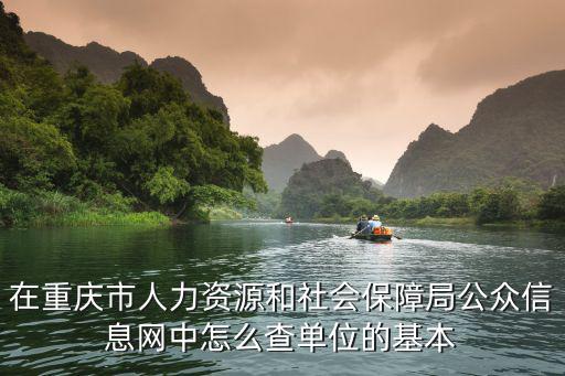 在重慶市人力資源和社會保障局公眾信息網中怎么查單位的基本