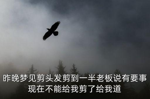 夢見剪頭發(fā)了，昨晚夢見剪頭發(fā)剪到一半老板說有要事現(xiàn)在不能給我剪了給我道