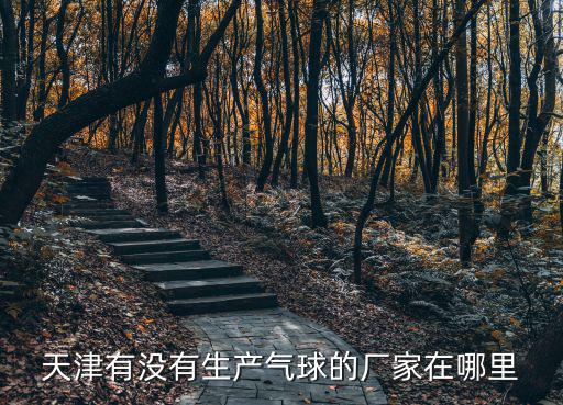天津有沒有生產(chǎn)氣球的廠家在哪里