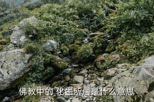 佛教中的 化生所居是什么意思