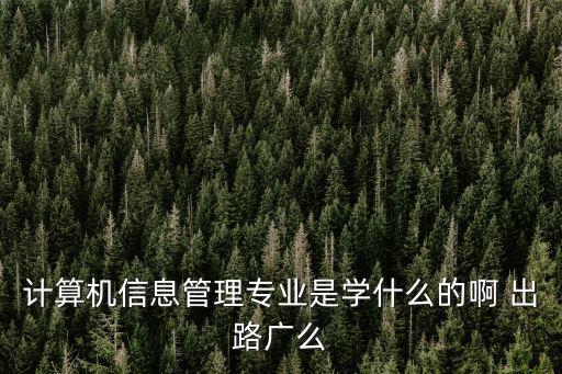 計算機信息管理專業是學什么的啊 出路廣么