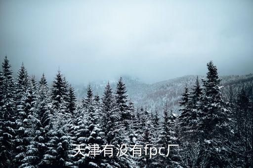 天津有沒有fpc廠