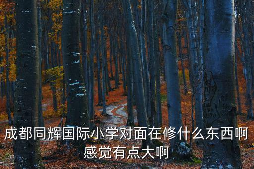 成都同輝國際小學(xué)對(duì)面在修什么東西啊感覺有點(diǎn)大啊