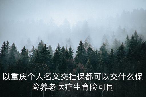 以重慶個人名義交社保都可以交什么保險養老醫療生育險可同