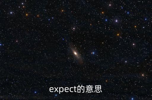 expect的意思