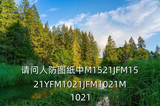請問人防圖紙中M1521JFM1521YFM1021JFM1021M1021