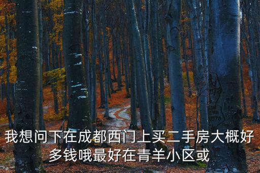 四川成都市青羊區二手房信息，我想問下在成都西門上買二手房大概好多錢哦最好在青羊小區或