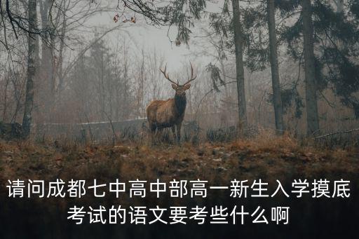 請問成都七中高中部高一新生入學摸底考試的語文要考些什么啊