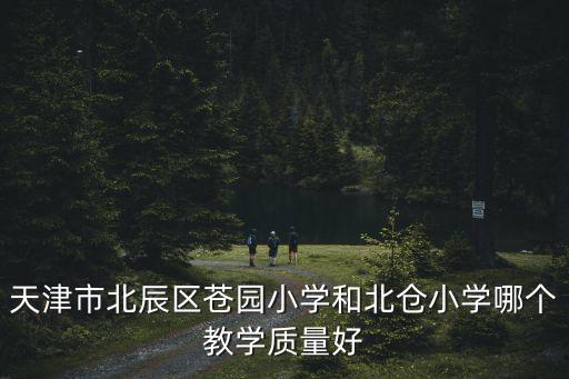 天津市北辰區(qū)蒼園小學(xué)和北倉小學(xué)哪個教學(xué)質(zhì)量好