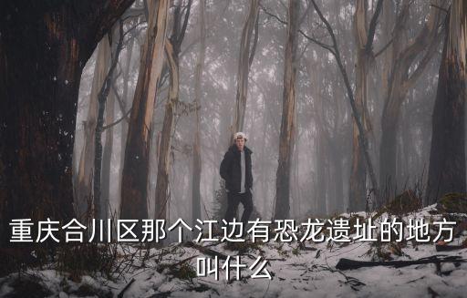 重慶合川區(qū)那個江邊有恐龍遺址的地方叫什么