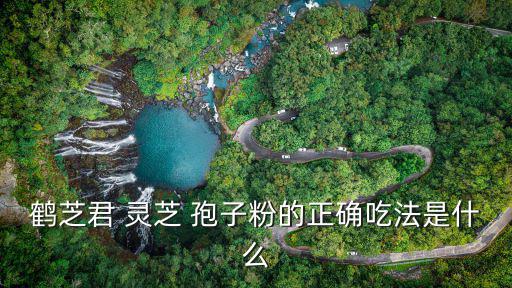 鶴芝君 靈芝 孢子粉的正確吃法是什么