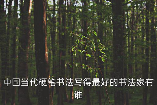 中國當代硬筆書法寫得最好的書法家有誰