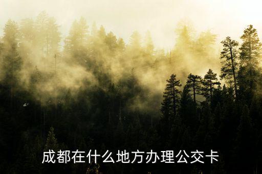 成都在什么地方辦理公交卡