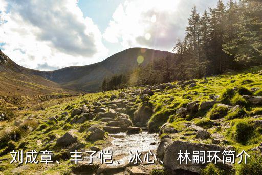 林嗣環,中國作家劉成章陜西作協副主席