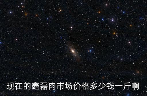 現在的鑫磊肉市場價格多少錢一斤啊