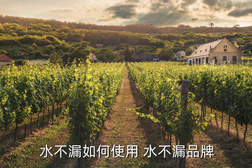 水不漏的使用方法,怎么堵漏?堵漏施工細節