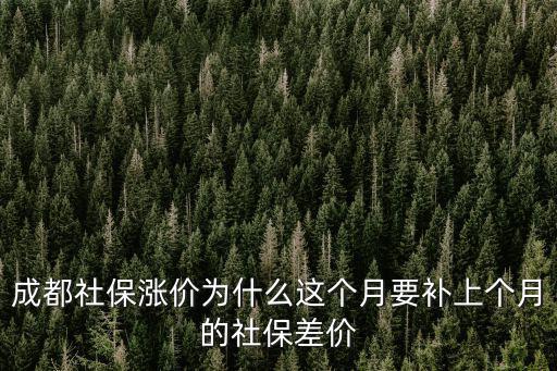 成都社保漲價為什么這個月要補(bǔ)上個月的社保差價
