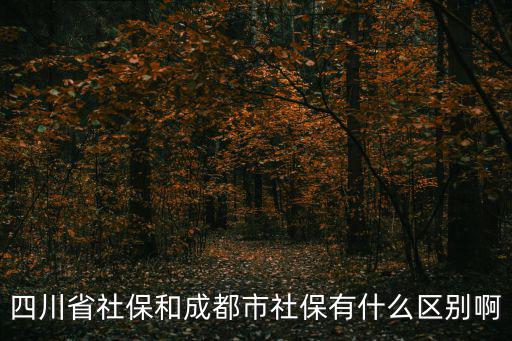 四川省社保和成都市社保有什么區(qū)別啊