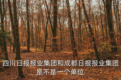 四川日報報業(yè)集團和成都日報報業(yè)集團是不是一個單位