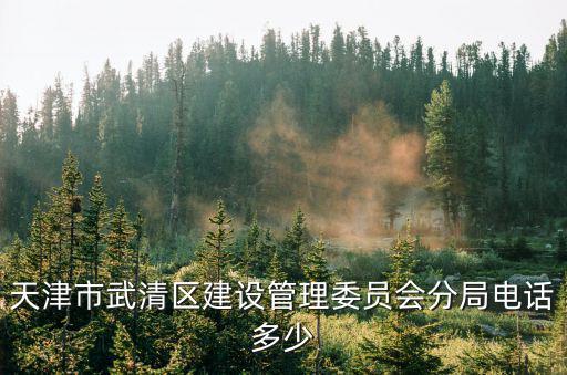 天津市武清區建設管理委員會分局電話多少