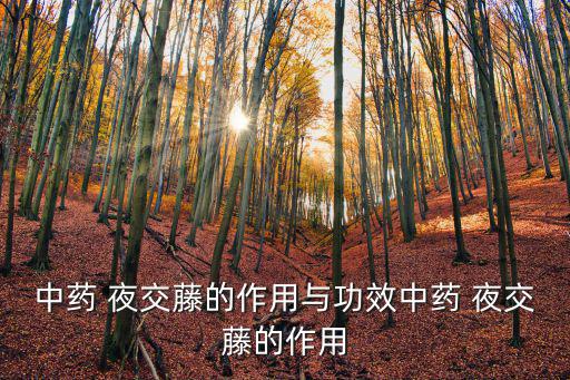 中藥 夜交藤的作用與功效中藥 夜交藤的作用