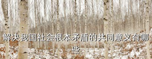 根本矛盾，解決我國社會根本矛盾的共同意義有哪些